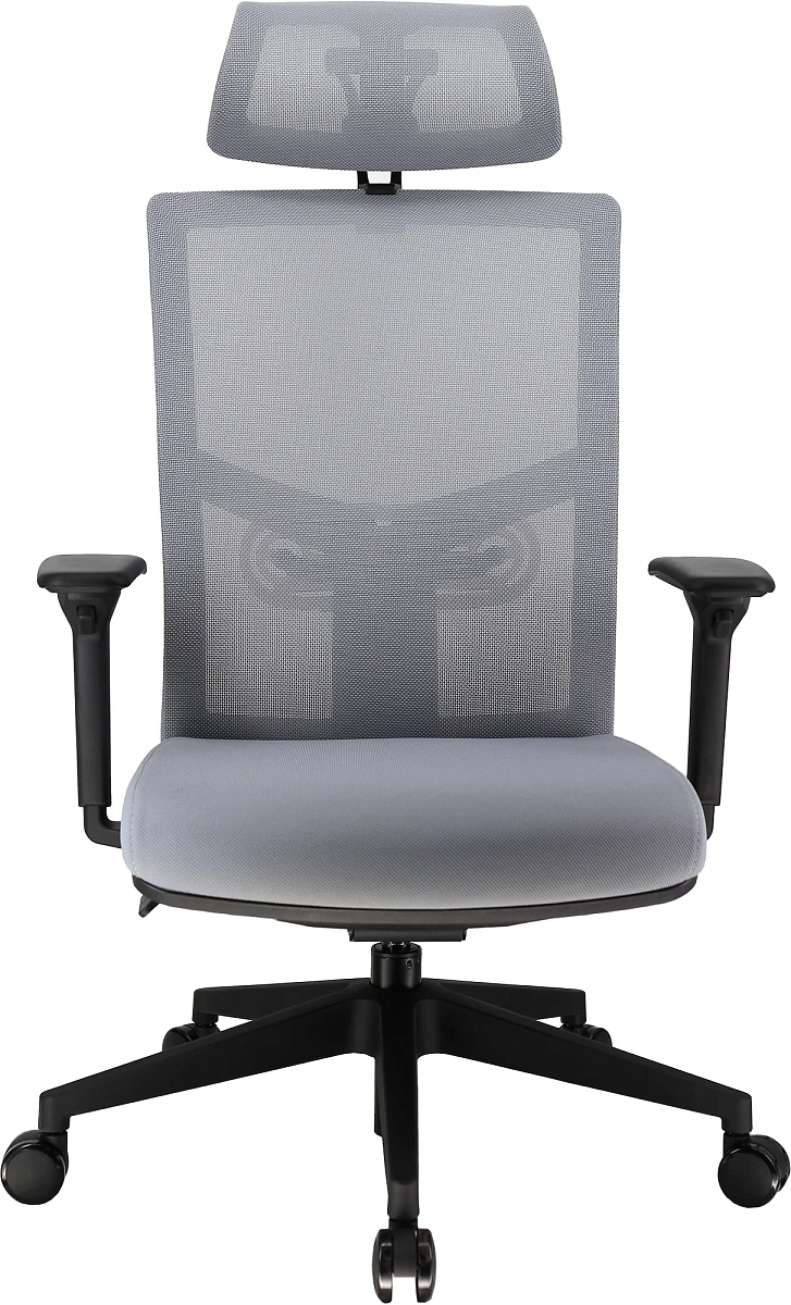 картинка Эргономичное кресло Everprof Fuji Сетка Серый от магазина Montegros