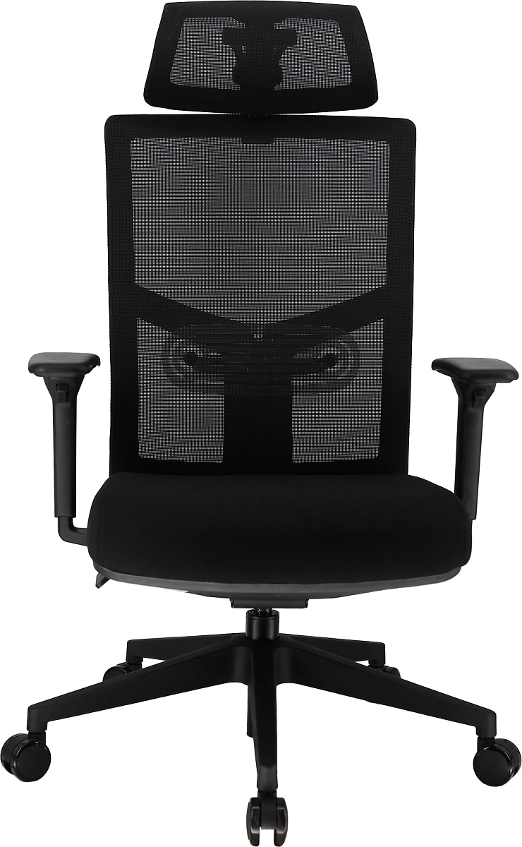 картинка Эргономичное кресло Everprof Fuji Сетка Черный от магазина Montegros